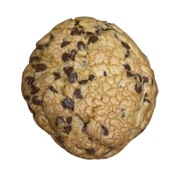 Chocolate Chip with Pecans